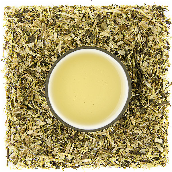 Třapatka (Echinacea) - kořen - Velikost balení: 500 g