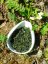 Korea Seogwang Sencha