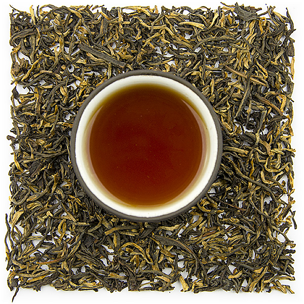 Kenya Black OP Tippy