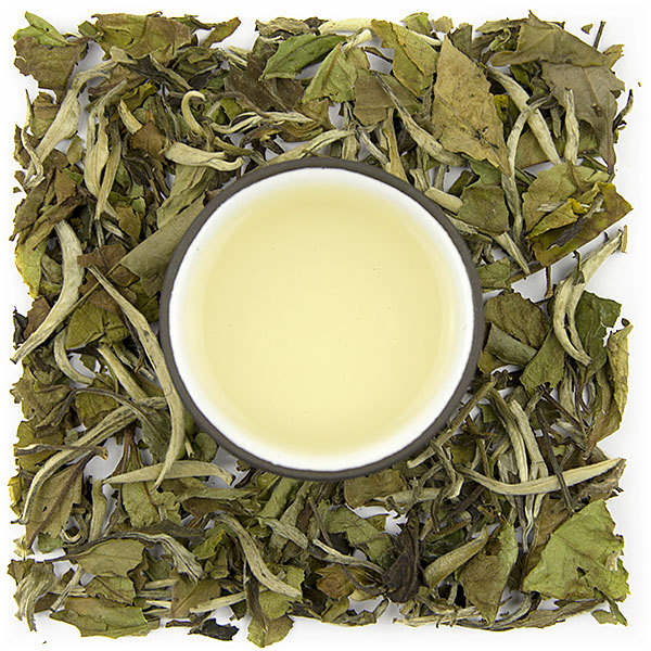Fuding Pai Mu Tan Senior Grade - Velikost balení: 250 g