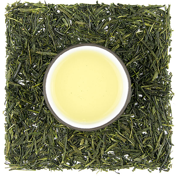 Shibushi Fukamushi Sencha - Velikost balení: 250 g