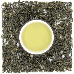 Thai Nguyen Tan Cuong