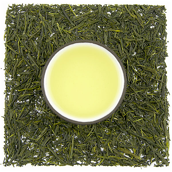 Kagoshima Soo Sencha (Yabukita)