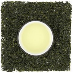 Miyazaki Hyuga Gyokuro