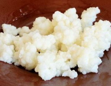Tibetská houba - pomocník při hubnutí? Má negativní účinky?