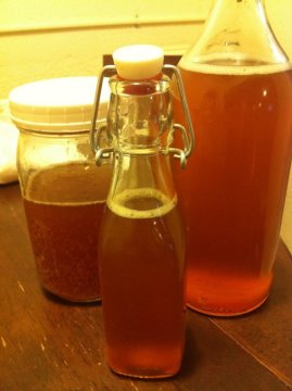 Co je to kombucha? Fermentace a příprava čaje.