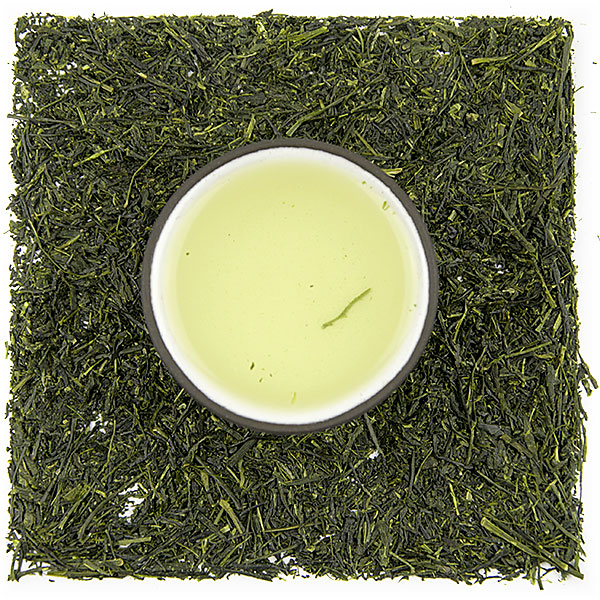 Uji Gyokuro Yabukita - Cold Brew
