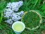 Shizuoka Sencha Fuji - Velikost balení: 250 g