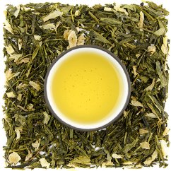 Sencha Opuncie