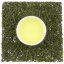 Kagoshima Soo Sencha (Yabukita)