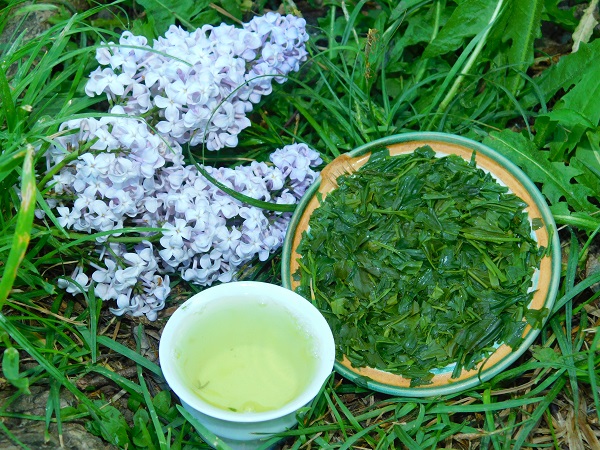 Shizuoka Sencha Fuji - Velikost balení: 250 g
