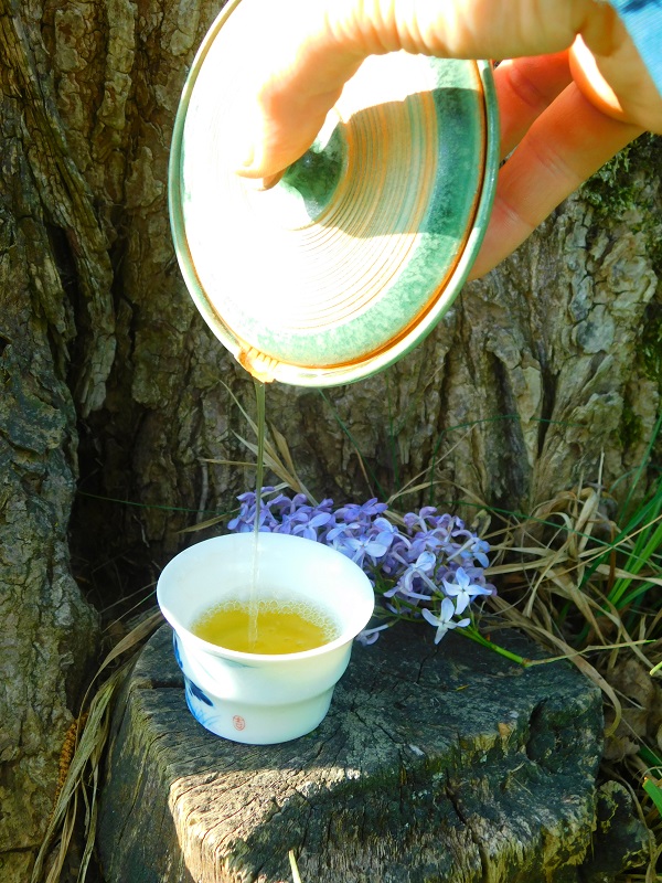 Shizuoka Sencha Fuji - Velikost balení: 250 g