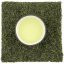 Miyazaki Sugiyama Sencha - Velikost balení: 50 g