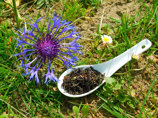 Darjeeling TGFOP1 Margaret Hope SF