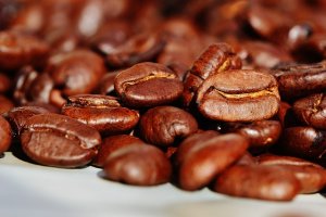Kávové odrůdy