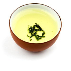 Sklizeň zeleného čaje v Japonsku