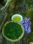 Shizuoka Sencha Fuji - Velikost balení: 250 g