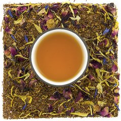 Rooibos Capetown