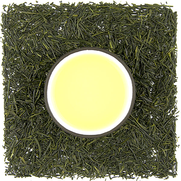 Shizuoka Shincha Gyokuro UMAMI - Velikost balení: 10 g (vzorek)