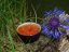 Darjeeling TGFOP1 Margaret Hope SF