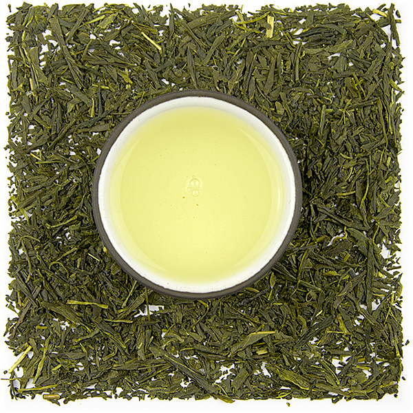 Fujieda Sencha Marumura