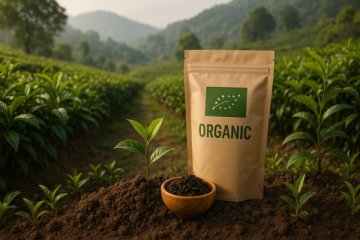 Co jsou bio, eko a organické čaje