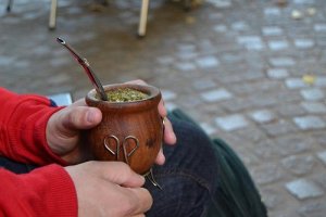 Yerba maté - vše co potřebujete vědět