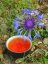 Darjeeling TGFOP1 Margaret Hope SF