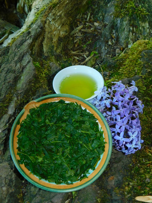 Shizuoka Sencha Fuji - Velikost balení: 250 g