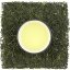 Shizuoka Tenryu Premium Sencha (Yabukita)