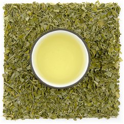 Moringa olejodárná - listy