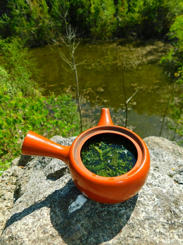 Korea Seogwang Sencha - Velikost balení: 500 g
