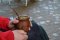 8 zdravotních přínosů Yerba Mate