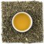 Šalvěj lékařská (Salvia officinalis) - Velikost balení: 10 g (vzorek)