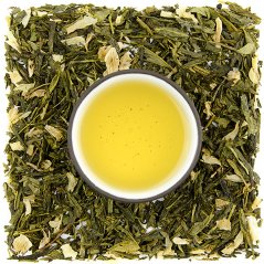 Sencha Opuncie