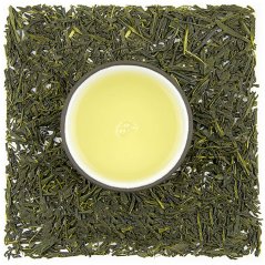 Kagoshima Hioki Sencha (Yabukita)