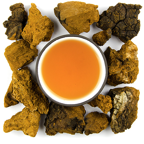 Chaga (Inonotus obliquus) - Velikost balení: 250 g