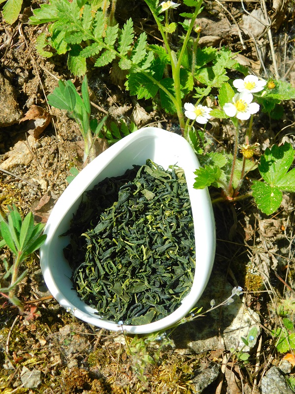 Korea Seogwang Sencha - Velikost balení: 500 g